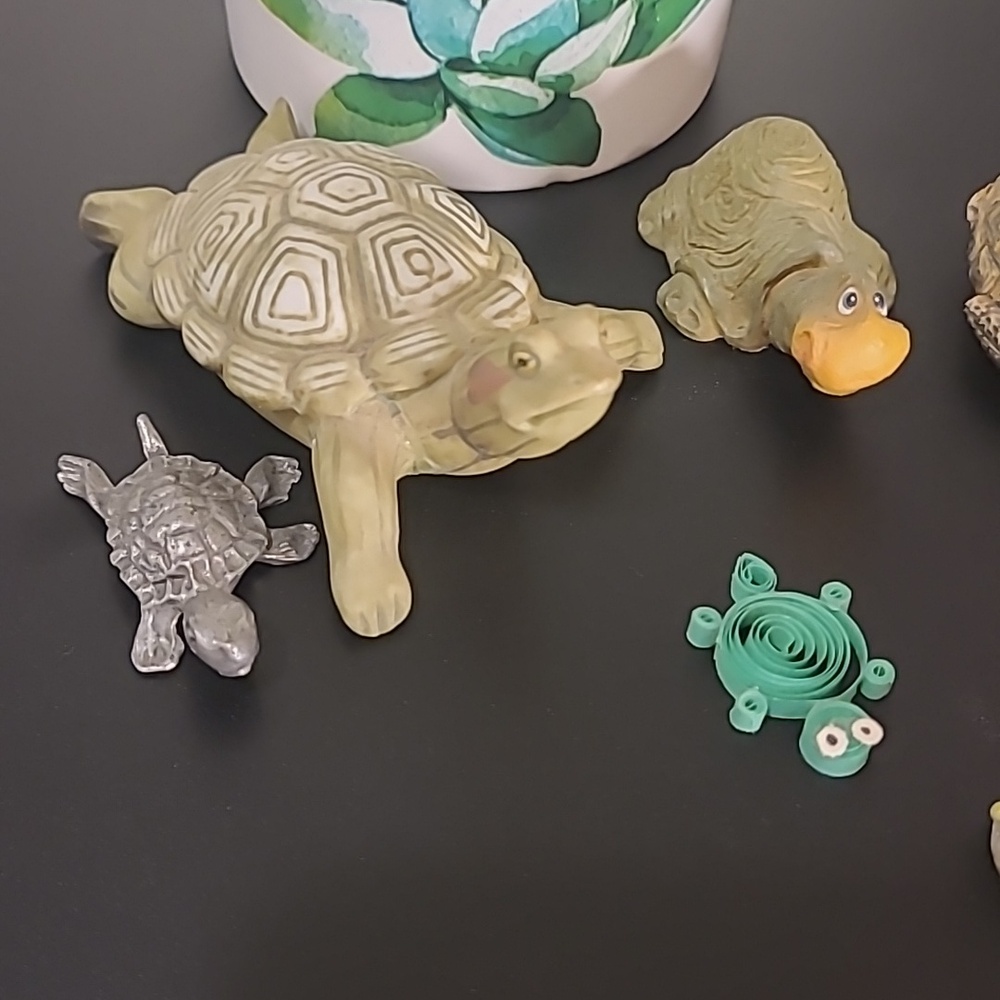 Mini Turtle Collection - Picture 2 of 6